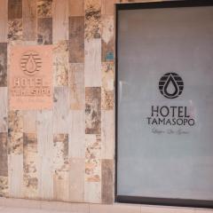 Hotel Tamasopo