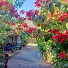 Tribal Village Homestay & Trekking