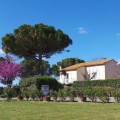 A l'Orée Des Vignes