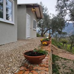 3 Bungalows at Mali Camping Kruje