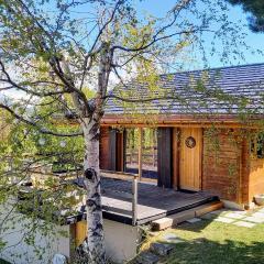 Chalet AS des Pics