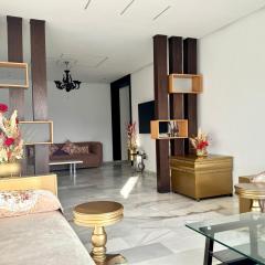 Luxueux appartement centre ville wifi 200 Mo