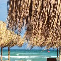 D10 Beach Retreats Lidl Area