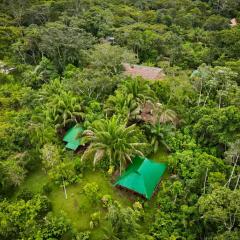 Tronco Tambopata Adventure