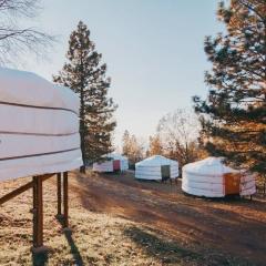 Cosy yurt at a nature retreat