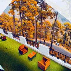 The Ambience Resort, Nainital - A Hidden Gem Away From City Hustle