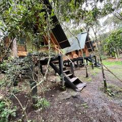 Cielito Verde Glamping