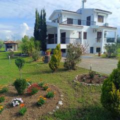 Gaia Olives Villa
