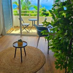 Studio Vue mer St Denis