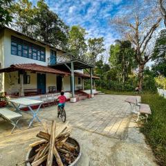 Studio Figtree by evaddo