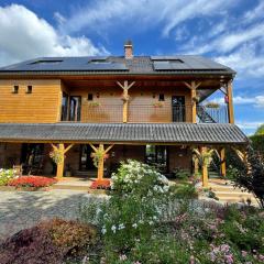 Hallerbos B&B in Bluebell Forest