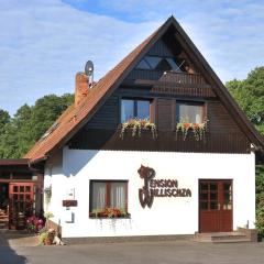 Pension Willischza