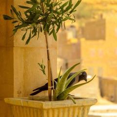 Jimmy Desert guesthouse & Safari