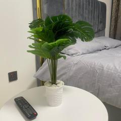 Taurus residences B2-9 near JKIA , SGR and expressway transit stay