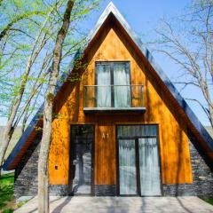 Aynur Forest A-Frame Houses