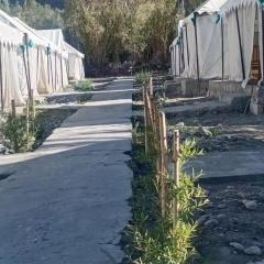 De Reeva Camp