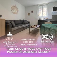 Fenix Appartement T2 40 M2 cosy RDC plein centre ville