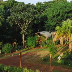 Canto de Pájaros