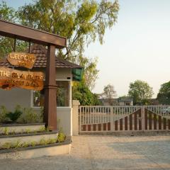 The Silk Routee Resort & Spa
