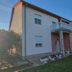 Cvitak home