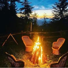 Sneha Cottage, Tirthan Valley - #riverside #premium room #cafe #comfortable stay #garden with fireplace #property of the year