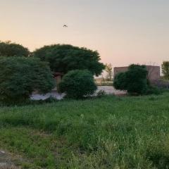 Traditional Village Farm Stay Nature & Peace in desi food
