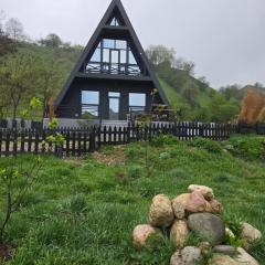Black ice A-FRAME