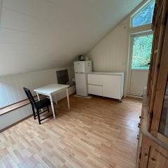Holiday Room