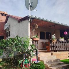Holiday house