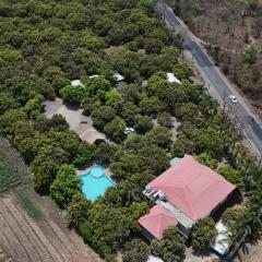 Vanveli The Forest Resort