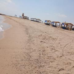 Beach safari nubian resort