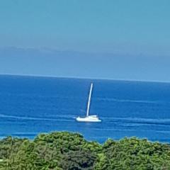Ravuka Beachouse