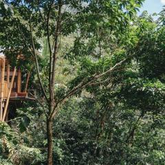Casa Borojó, Refugio Natural Jacaranda