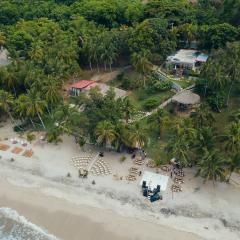 Cocobeach Palomino