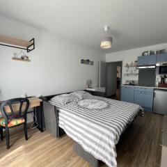 Studio tout confort climatisé avec jardinet, en centre bourg, proche plage, mer, La Rochelle et Chatelaillon