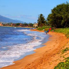 Your Maui Adventure Awaits - Sugar Beach
