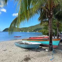 Paradis Tropical
