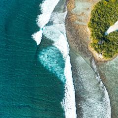 Bibee Surf