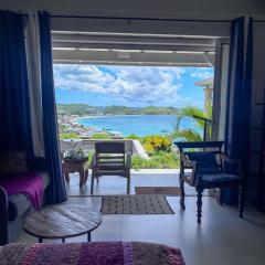 Carribbean Hill - Stunning View and infinity pool