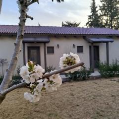 דצ'א - Дача - Dacha