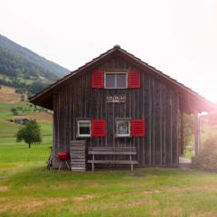 Unique Tiny house between Mnt Rigi and Lake Lucerne