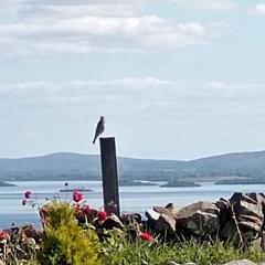 Corrib view cabin
