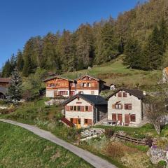 Tiny House facing the Alps - Ski in, Ski out
