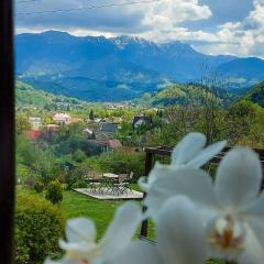 Inspire View - Boutique
