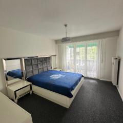 Airport Basel Apartment