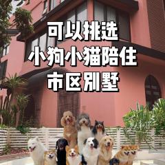 Woah Puppy Home Guesthouse Woah小狗之家民宿