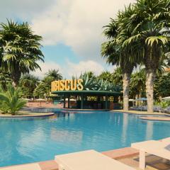 Bahia Principe Grand Tequila - Adults Only All Inclusive - New Opening Dec 2025