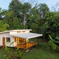 Villa Bruno - Jungle Lodge Near Corcovado & Puerto Jiménez