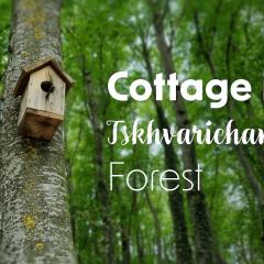 Cottage in Tskhvarichamia forest