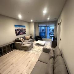 Luxurious 1BR, Pool, Gym, nr Blue Line